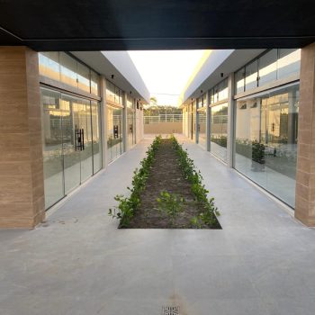 Execução dos serviços de paisagismo no Clube.